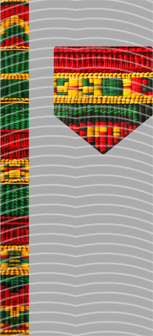 Black History in 1865-LY 286